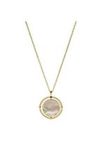 fossilsieraden Fossil JF03800710 - Dames - Goudkleurig - Ketting