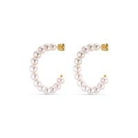YAMOKO Creolen 88296991 Geelgoud 585