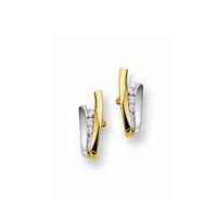 Quickjewels Huiscollectie Goud Huiscollectie Goud oorbellen 542027829