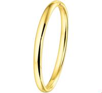 Tft Slavenband Goud Scharnier Half Ronde Buis 6 X 60 mm