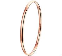 Zilgold Slavenband Goud met Zilveren Kern Scharnier Massief Bolle Buis 4 X 61 mm