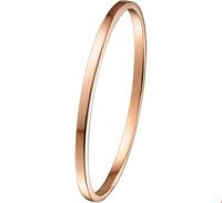 Zilgold Slavenband Goud met Zilveren Kern Scharnier Massief Vlakke Buis 4 X 61 mm