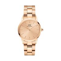 Daniel Wellington Dameshorloge Iconic Link Unitone DW00100401