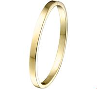 Zilgold Armband Bangle Geelgoud met zilveren kern Vlakke buis 5 X 61 MM