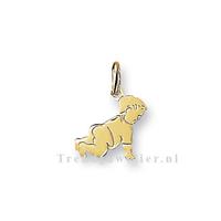 Tft Huiscollectie 4005887 Gouden bedel baby