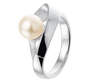 Tft Ring Parel Poli/mat Zilver