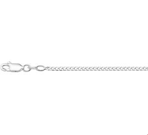 Tft Ketting gourmetschakel zilver 2 mm 45 cm