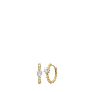 Stalen goldplated oorringen met zirkonia