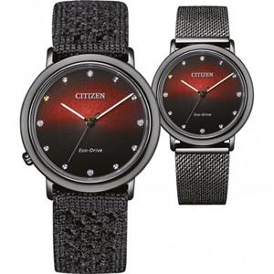 Citizen Quarzuhr EM1007-47E, (Set, 2 tlg., mit Wechselband)