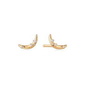Ania Haie Oorknopjes Stargazer EAU002-04YG Geelgoud 585