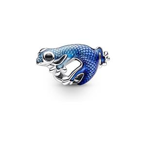 Pandora Charm Moments 792701C01