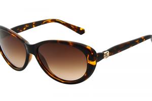 Ted Baker TB1315 Cougar 122 havana bruin gradiënt zonnebril