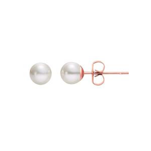 Oorbellen Stud Earrings