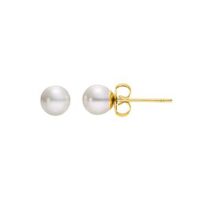 Oorbellen Stud Earrings