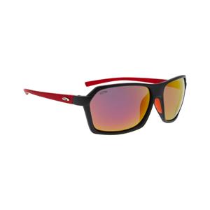 Goggle E923-5P Zonnebril Gepolariseerd Heren