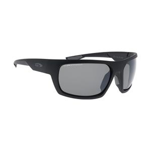 Goggle T909-1P Zonnebril Gepolariseerd Heren