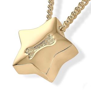 Urnwebshop Gouden Assieraad Ster met Botje