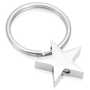 Urnwebshop As-sleutelhanger Dieren Ster Zilver