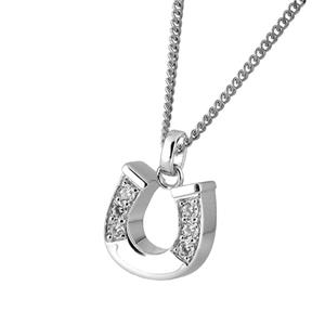 Urnwebshop Aurora Ashanger Hoefijzer Zirkonia Zilver