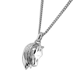 Urnwebshop Aurora Ashanger Paardenhoofd Zilver