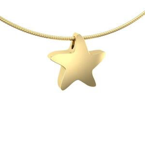 Urnwebshop Gouden Ashanger Zeester