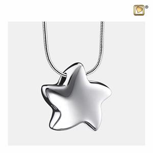 Urnwebshop Ashanger Ster Zilver, inclusief Design Slangencollier