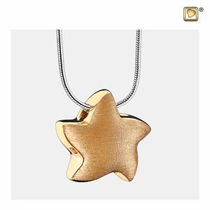 Urnwebshop Ashanger Ster Bicolor Verguld Zilver, inclusief Design Slangencollier