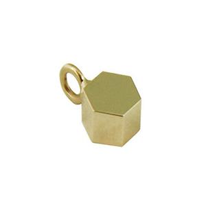 Urnwebshop Zeshoekige Ashanger Goud