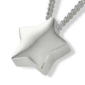 Urnwebshop Ashanger Ster Zilver
