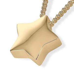 Urnwebshop Ashanger Ster Goud
