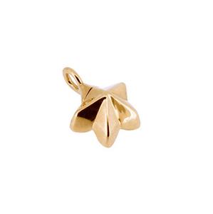 Urnwebshop Gouden Ashanger Sterretje