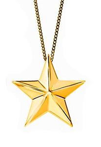 Urnwebshop Ashanger Gouden Ster