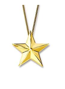 Urnwebshop Ashanger Klein Sterretje Goud