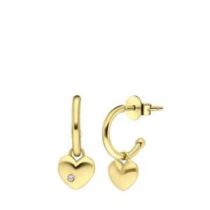 Lucardi Oorbellen Zilver