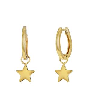 Lucardi Oorbellen Zilver