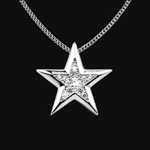 Gedenkartikelen Ashanger Ster in zilver met zirkonia inclusief collier