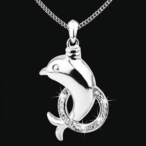 Gedenkartikelen Ashanger Dolfijn in zilver met zirkonia inclusief collier