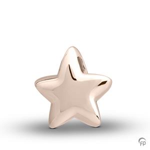 Urnwebshop Atlantis Memorials Ashanger Big Star Whitegold
