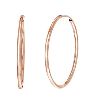 Lucardi Oorbellen Zilver