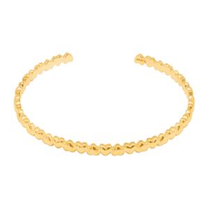 Armband Camer