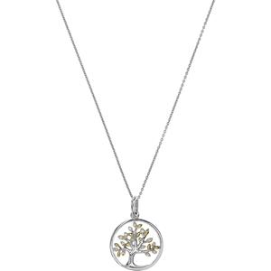 FAVS Ketting Zilver 925