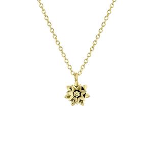 Lucardi Zilveren goldplated ketting&hanger geboortebloem - december