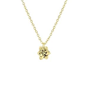 Lucardi Zilveren goldplated ketting&hanger geboortebloem - december