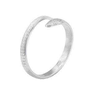 Ring Parth