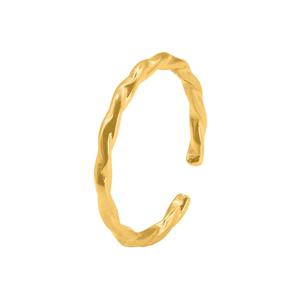 Ring Pater