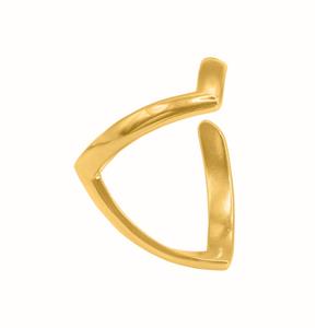 Ring Aeca