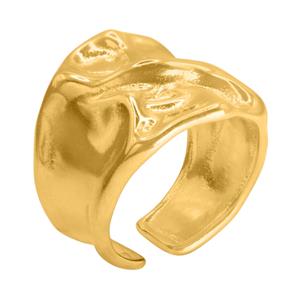 Ring Publio