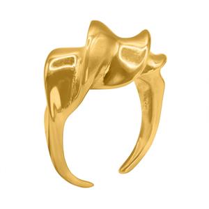 Ring Plini