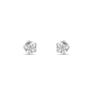 FAVS Oorknopjes Zilver 925