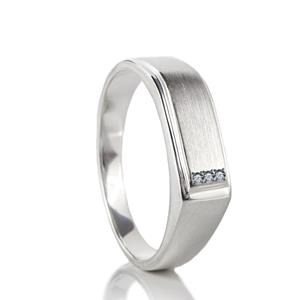 Gedenk Idee Memorialshop Desing ring in zilver 6.5mm met gesloten askamer + zirkonia